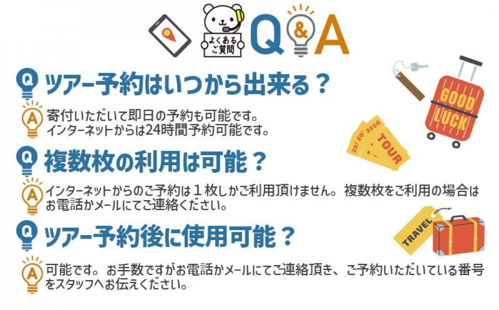 【那覇市】しろくまツアーで利用可能なWEB旅行クーポン（60,000円分）
