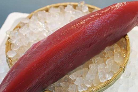 【泊漁港直送】 沖縄美ら海まぐろ 2Kg