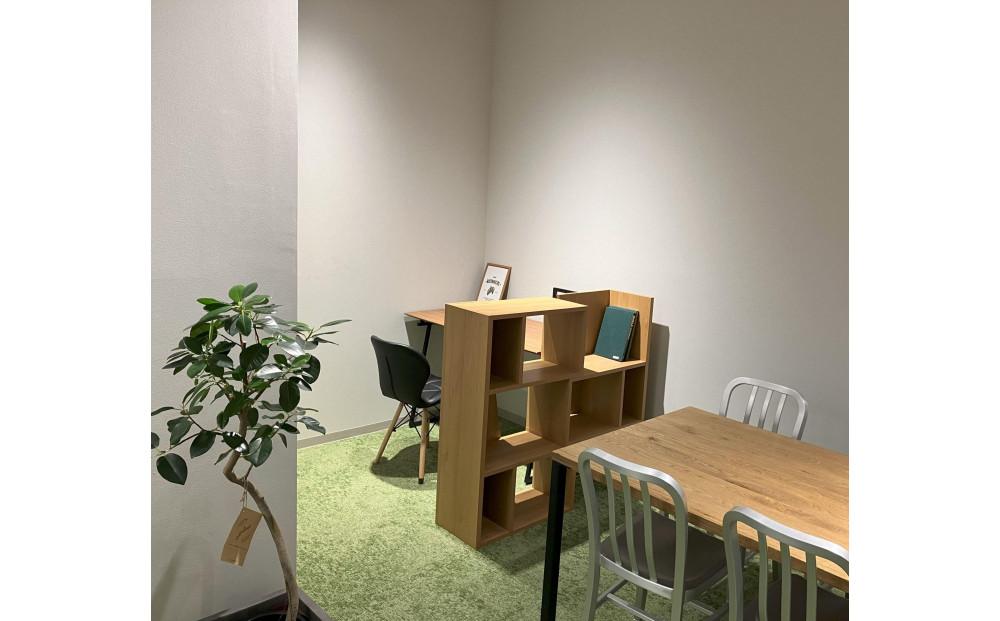 【3本セット】国内産 亜熱帯観葉植物 人気のフィカス・ウンベラータなど 8号 丸鉢 沖縄柄飾り布つき