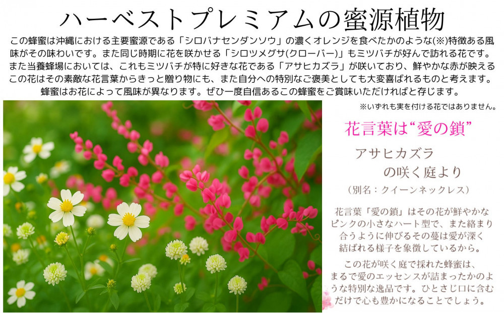 沖縄ハニー　ハーベスト プレミアム 250g