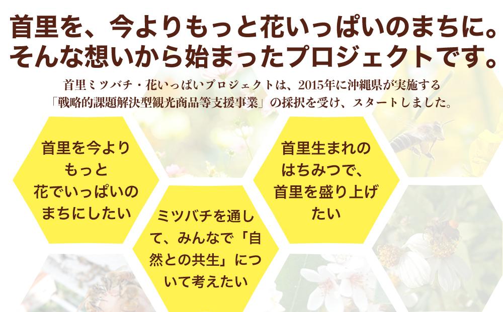 ※24.12.16受付一時停止※＜限定＞首里王朝蜂蜜2本入りギフトセット