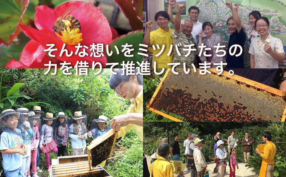 ※24.12.16受付一時停止※＜限定＞首里王朝蜂蜜2本入りギフトセット