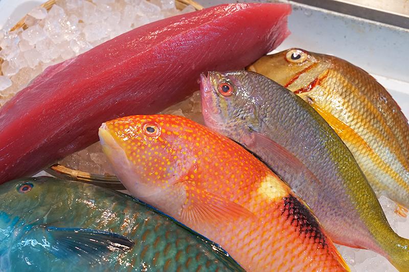 【泊漁港直送】 沖縄美ら海まぐろと旬の沖縄鮮魚セット