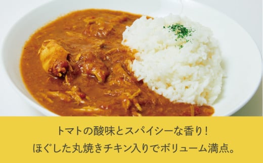 沖縄県産若鶏使用 オリジナルチキンカレー (1袋 約260g)  4袋セット | とりの丸焼こけこっこハウス | トマトベース オリジナル スパイス お肉たっぷり にんにくたっぷり 辛さ控え目 ヘルシー | 沖縄 グルメ お取り寄せ | 沖縄県 宜野湾市 | 冷凍 送料無料