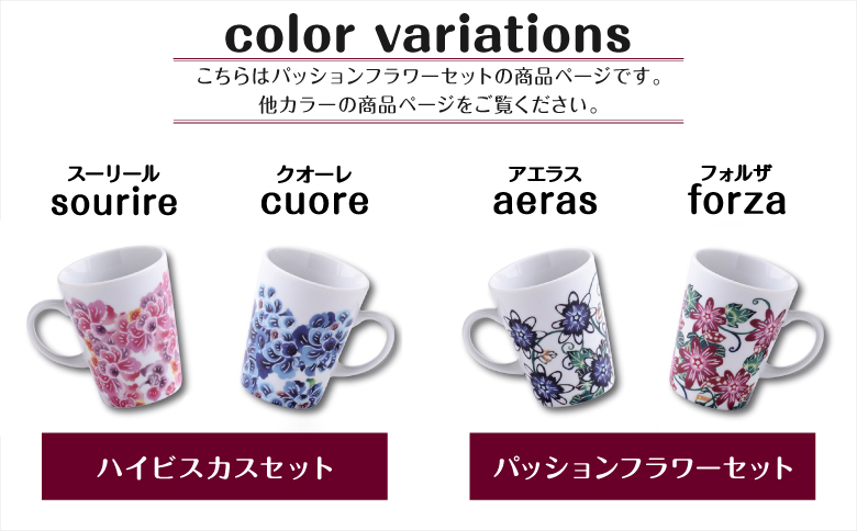 選べるカラー【ハイビスカスセット・パッションフラワーセット】| 紅琉 BINRYU