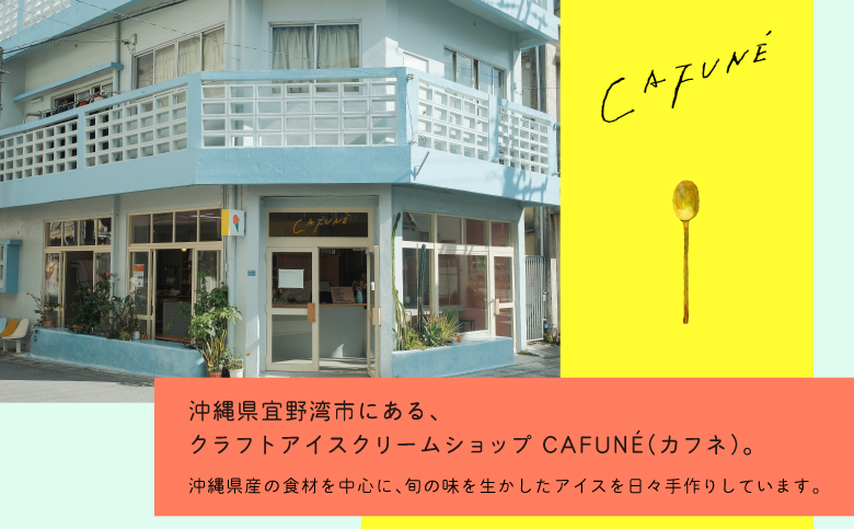 添加剤不使用 CAFUNÉ アイスクリーム 8個セット | 沖縄の食材 国産 厳選素材 手づくり アイス クラフトアイスクリーム | デザート アレンジ 贈り物 ギフト | 沖縄県 宜野湾市 送料無料