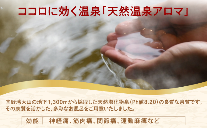 エナジック天然温泉アロマ 入浴回数券 6枚綴り | 天然 温泉 大自然 四季 日本庭園 | お風呂 露店風呂 サウナ サ活 ジェットバス スパ リラクゼーション リフレッシュ デトックス 湯治 癒し | 入浴券 利用券