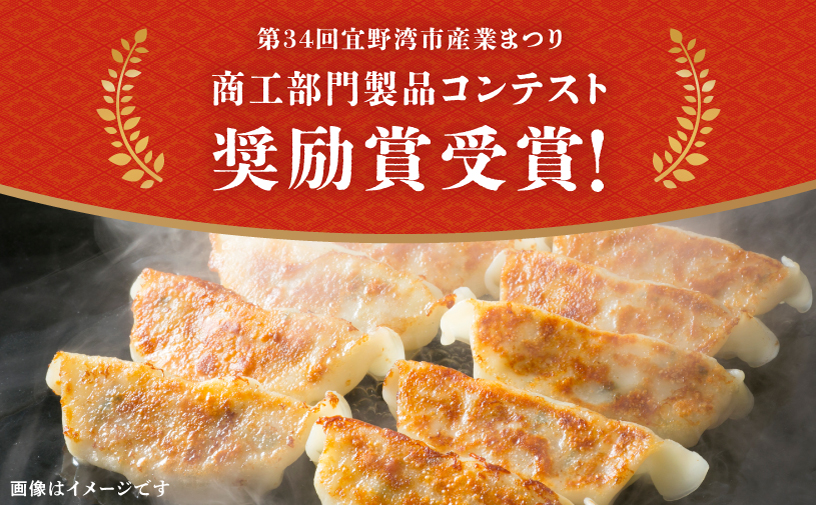 かめかめ島餃子 (しそ・にんにくなし) 30個 × 2袋 | 香るとりしそ餃子(若鶏・にんにくなし)  かめかめ餃子(豚肉・にんにくなし) やんばる若鶏 | 包みたて 工場直売 餃子 シママース | 簡単調理 手軽 | 餃子 豚肉 鶏肉 出汁 沖縄 お取り寄せ グルメ 冷凍 | 沖縄県 宜野湾市 | 送料無料