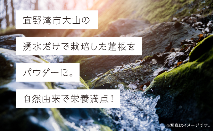 琉球蓮根パウダー(50g) 2個セット [ 国産 沖縄県産 100% 自然栽培 無添加 ] 100g | 【令和５年度 宜野湾市特産品推奨認定】NATURAL TONE | 蓮根 れんこん レンコン パウダー 粉末 | 粉野菜 野菜パウダー 野菜粉末 蓮根粉 | 蓮根パワー スーパーフード | 食物繊維 簡単 習慣 健康維持 健康サポート | 沖縄県 宜野湾市 送料無料
