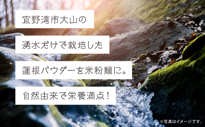 湧水栽培！琉球蓮根の米粉麺 (128g) 平麺 5個セット 国産 [ 小麦不使用 グルテンフリー 無添加 化学調味料不使用 ベジタリアン ヴィーガン ] | NATURAL TONE | めん 生麺 万能麺 和食 洋食 中華 和洋中 | 健康志向 健康サポート アレルギー対応 糖質 ダイエット 食物繊維豊富 | れんこん レンコン 蓮根パワー | 沖縄県 宜野湾市 送料無料