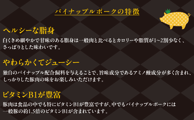 肉屋の正解 ゆでるバーグ 100g×10個 パイナップルポークのハンバーグ | 沖縄県産 豚肉 ハンバーグ 冷凍 沖縄土産 送料無料 沖縄県 宜野湾市 パイナップル