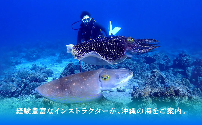 ダイビング マリンスポーツ オーシャンゲート ご利用補助券 3,000円分 | 沖縄県 宜野湾市 ふるさと納税 ふるさと | 送料無料 | 沖縄 旅行 トラベル 観光 リゾート 美ら海 | ご利用券 補助券