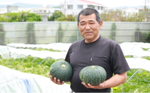 島かぼちゃとちんすこうのベイクドチーズケーキ | 国産 沖縄県産 つかざん完熟カボチャ | ポティロン株式会社 | チーズケーキ ちんすこう | 沖縄 お取り寄せ スイーツ おやつ お菓子 菓子 おかし お土産 ギフト | 沖縄県 宜野湾市 | 送料無料