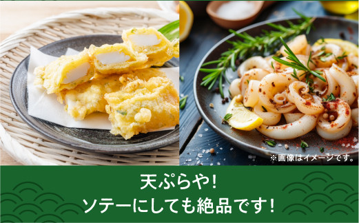 【沖縄県産 巨大イカ】ソデイカ短冊 | 宜野湾漁港で水揚げ