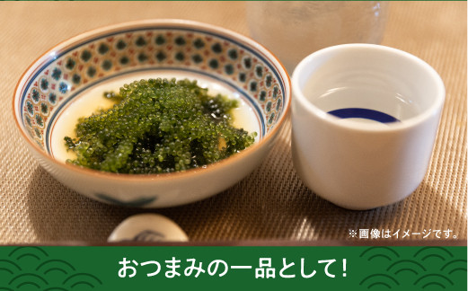 【はごろものまちのグリーンキャビア】海ぶどう（500g） | その日に摘み取った新鮮な海ぶどう