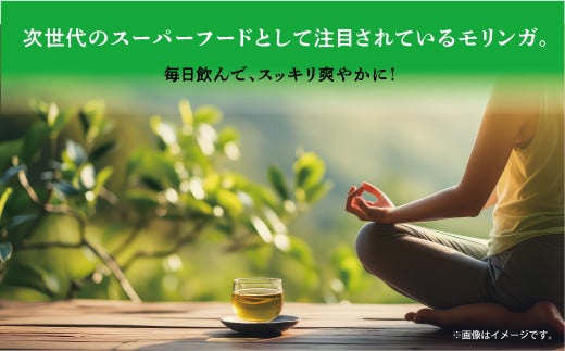 金ちゃんちのモリンガ茶（30包×4袋） ティーパック ティー お茶  | 100％沖縄産 ノンカフェイン 無添加 無着色 | 島食専門店kinchanchi 金ちゃんちの海ぶどう