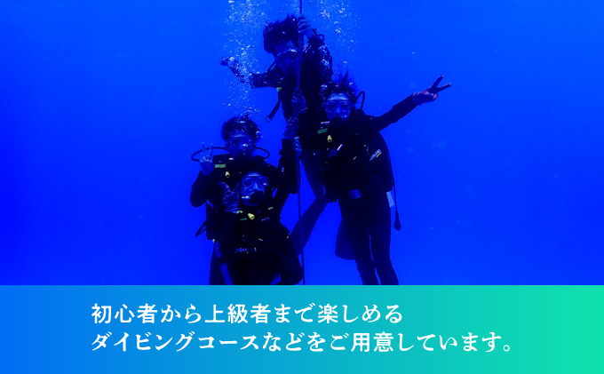 ダイビング マリンスポーツ オーシャンゲート ご利用補助券 3,000円分 | 沖縄県 宜野湾市 ふるさと納税 ふるさと | 送料無料 | 沖縄 旅行 トラベル 観光 リゾート 美ら海 | ご利用券 補助券