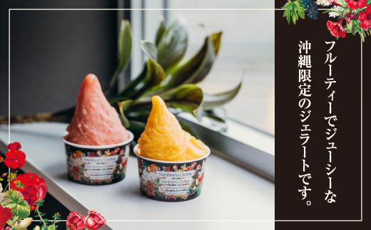 沖縄の素材を活かしたやんばるジェラート 6個セット 【2017ジェラート世界大会準優勝】 | やんばるジェラート | 沖縄 お取り寄せ アイス アイスクリーム ジェラート 冷たい スイーツ おやつ お菓子 菓子 おかし お土産 ギフト 詰め合わせ | 沖縄県 宜野湾市 | 送料無料