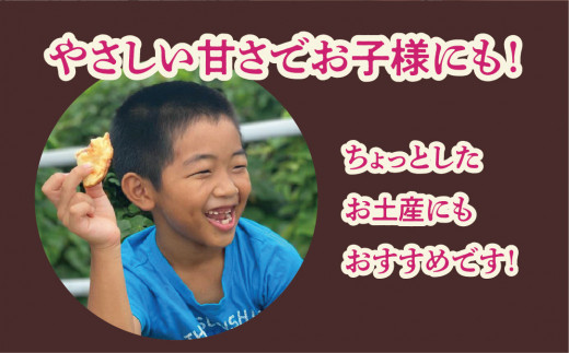 手作りパイ5種の詰め合わせ30個セット | 手作りパイの店ぬち | 田芋 紅芋 抹茶あずき 黒ゴマ チョコ | 沖縄 お取り寄せ スイーツ おやつ 和菓子 焼き菓子 お菓子 菓子 おかし お土産 ギフト | 沖縄県 宜野湾市 | 送料無料