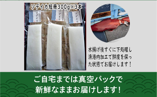 【沖縄県産 巨大イカ】ソデイカ短冊 | 宜野湾漁港で水揚げ