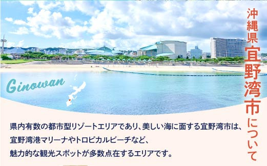沖縄県 宜野湾市 日本旅行 地域限定旅行クーポン (紙券)【60,000円分】 | ふるさと納税 旅行 沖縄 ホテル 旅行券 トラベル ふるさと チケット 宿泊 宿泊券 宿 観光 飛行機 送料無料 リゾート ファミリー ペア ダイビング 宜野湾 普天間 トロピカルビーチ