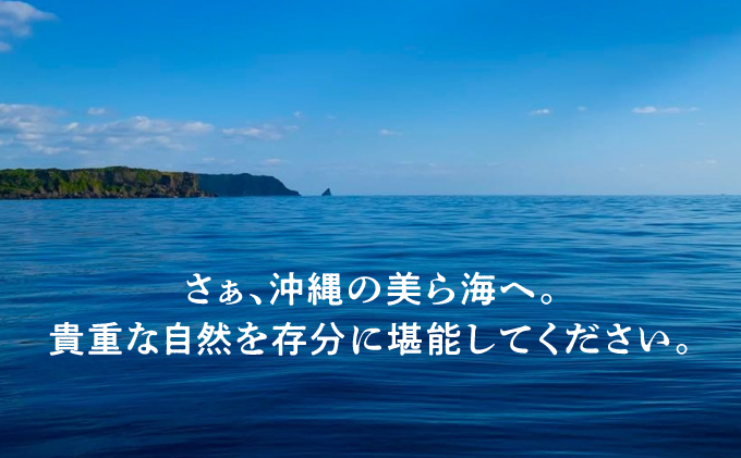 ダイビング マリンスポーツ オーシャンゲート ご利用補助券 3,000円分 | 沖縄県 宜野湾市 ふるさと納税 ふるさと | 送料無料 | 沖縄 旅行 トラベル 観光 リゾート 美ら海 | ご利用券 補助券