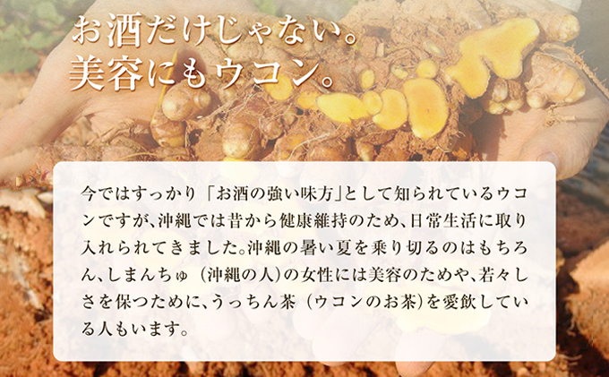 【3袋】沖縄県産琉球発酵ウコン 1袋(1粒重量250mg 3粒×31包) 沖縄県産の3種類のウコン | 飲みやすい タブレット 無農薬 農薬・化学肥料 不使用 自然由来 | 株式会社 しまのや | サプリ サプリメント 健康食品 | 送料無料 3袋