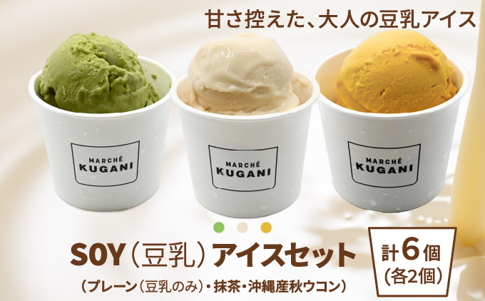 SOY(豆乳)アイス 6個セット (プレーン(豆乳のみ)・抹茶・沖縄産秋ウコン) 3種類 各2個 | 沖縄ウコン堂 ソイアイス アイスクリーム | 国産 沖縄産 | ヘルシー 低カロリー デザート スイーツ | ヴィーガン 植物性100% | 宜野湾市 送料無料