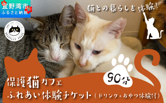 沖縄県 宜野湾市 沖縄保護猫カフェふれあい体験120分ペアチケット(ドリンク+おやつ体験付) | ねこ 応援 | 保護猫とつながるカフェ＆ショップ Nouvelle Vague（ヌーベルバーグ）| 送料無料