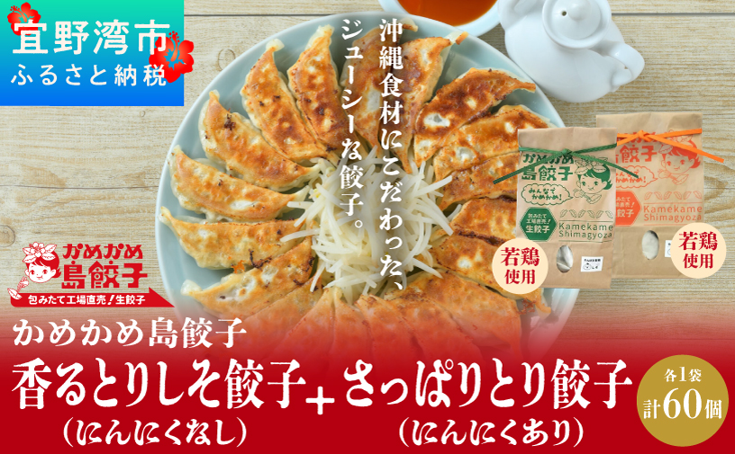 かめかめ島餃子 やんばる若鶏 30個 × 2袋 |  香るとりしそ餃子(若鶏・にんにくなし) さっぱりとり餃子(若鶏・にんにくあり)  | 包みたて 工場直売 餃子 シママース | 簡単調理 手軽 | 餃子 鶏肉 出汁 沖縄 お取り寄せ グルメ 冷凍 | 沖縄県 宜野湾市 | 送料無料