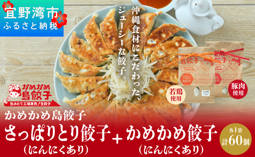 かめかめ島餃子 (豚肉・やんばる若鶏/にんにくあり) 30個 × 2袋 | さっぱりとり餃子(若鶏・にんにくあり) かめかめ餃子(豚肉・にんにくあり) | 包みたて 工場直売 餃子 シママース | 簡単調理 手軽 | 餃子 豚肉 鶏肉 出汁 沖縄 お取り寄せ グルメ 冷凍 | 沖縄県 宜野湾市 | 送料無料