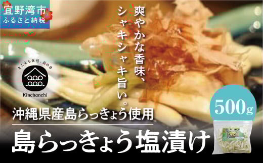 【沖縄県産】島らっきょう 塩漬け 500g | 島食専門店kinchanchi 金ちゃんちの海ぶどう