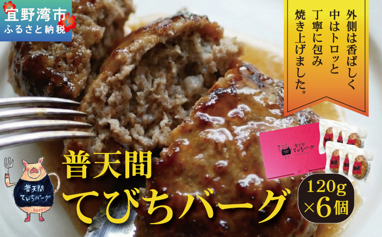 普天間てびちハンバーグ 120g×6個 | BISTROT LIERRE BLANC II | 沖縄県産 豚肉 てびち 豚足 ハンバーグ | 冷凍 真空パック 沖縄土産 沖縄県 宜野湾市 送料無料