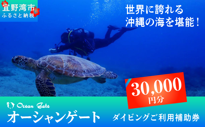 ダイビング マリンスポーツ オーシャンゲート ご利用補助券 30,000円分 | 沖縄県 宜野湾市 ふるさと納税 ふるさと | 送料無料 | 沖縄 旅行 トラベル 観光 リゾート 美ら海 | ご利用券 補助券