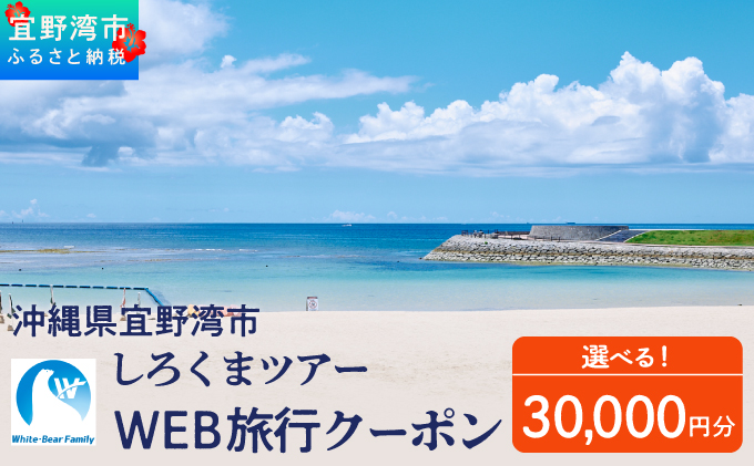 沖縄県 宜野湾市 しろくまツアーで利用可能なWEB旅行クーポン  30,000円分 | ふるさと納税 ふるさと | 送料無料 | 沖縄 旅行 トラベル 観光 リゾート ツアー | ホテル 宿 宿泊 | 旅行券 チケット 宿泊券 紙券 地域限定旅行クーポン