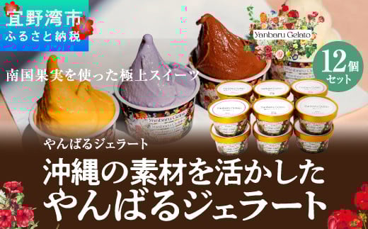 沖縄の素材を活かしたやんばるジェラート 12個セット 【2017ジェラート世界大会準優勝】 | やんばるジェラート | 沖縄 お取り寄せ アイス アイスクリーム ジェラート 冷たい スイーツ おやつ お菓子 菓子 おかし お土産 ギフト 詰め合わせ | 沖縄県 宜野湾市 | 送料無料