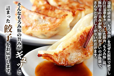 【石垣島ブランド豚】もろみ豚 特製 餃子 9パック【合計108個】【もろみで育てる自慢の豚肉】ぎょうざ 小分け AH-6