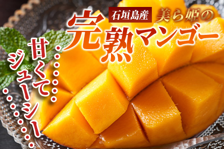 ［予約受付］美ら姫マンゴー2ｋｇ（完熟・アーウィン種）≪2026年7月中旬～順次発送≫ CB-2