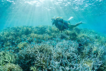 PS-1 ぷしぃぬしまアクティビティツアー利用券(3000円分)