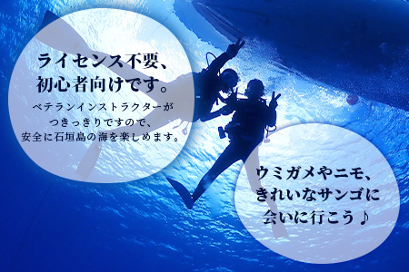 【体験ダイビング】石垣島で体験ダイビング1日コース（1名様） MO-1