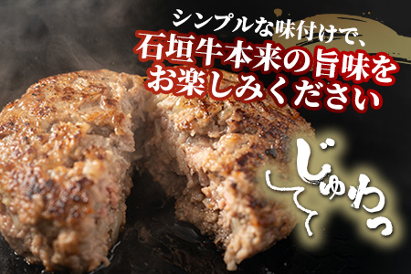 石垣牛ハンバーグセット100g×10個＜2025年10月発送＞| 国産 石垣牛100% 沖縄 石垣島産 高級 黒毛和牛 ビーフ ハンバーグセットA-006_10