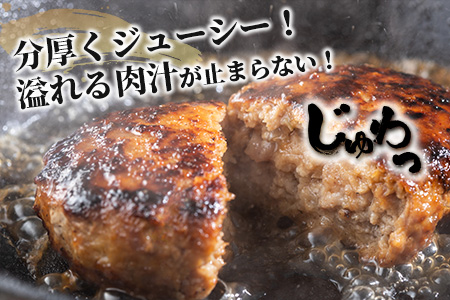石垣牛ハンバーグ100g×10個（八重山パーツミート）I-9-1