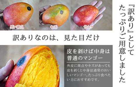 【先行受付】《2025年7月～8月中旬順次発送》訳あり 沖縄マンゴー（石垣島産）2kg ときわマンゴー農園 TK-2-1