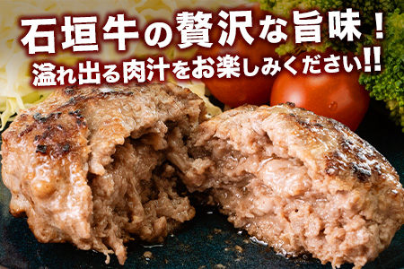 やえやまファームの石垣牛ハンバーグ 6個セット E-27