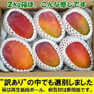 【予約受付】石垣島産 《訳あり・ご自宅用マンゴー》 約2kg エコ箱入り(3～6個入り) 2025年6月末〜7月下旬発送 SI-30-2