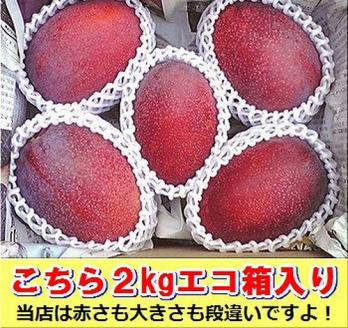 【先行予約】石垣島産 完熟マンゴー 約2kg エコ箱入り（3～6個入り）2025年6月末〜7月下旬発送 SI-32