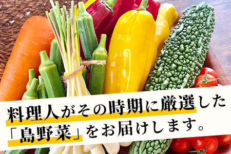 料理人が厳選した島野菜盛り合わせ (6～10品目) 【 野菜詰合せセット  やさい セット 詰め合わせ 冷蔵対応】 TM-7