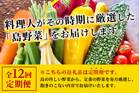 【定期便 12ヶ月】料理人が厳選した島野菜盛り合わせ (6～10品目×12回) 【 野菜詰合せセット  やさい セット 詰め合わせ 冷蔵対応】 TM-8