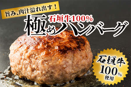 【合計1.5kg】石垣牛 100% 極めハンバーグ 150g×10個 ≪肉職人が作ったこだわりハンバーグ≫ 【石垣牛 沖縄県 石垣市 石垣島 牛肉 牛 肉 黒毛和牛】 TM-6