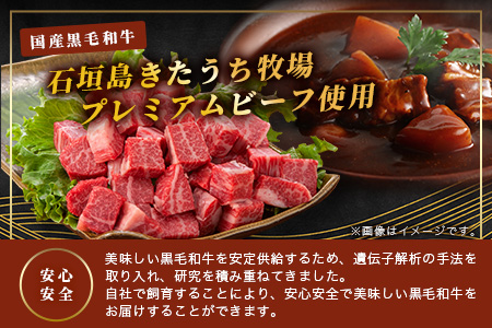 【きたうちプレミアムビーフを贅沢に使用】特製レトルトビーフシチュー 5個【総重量1.1Kg】【石垣島きたうち牧場の美味しい牛肉】こだわりぬいた美味しいお肉のビーフシチュー